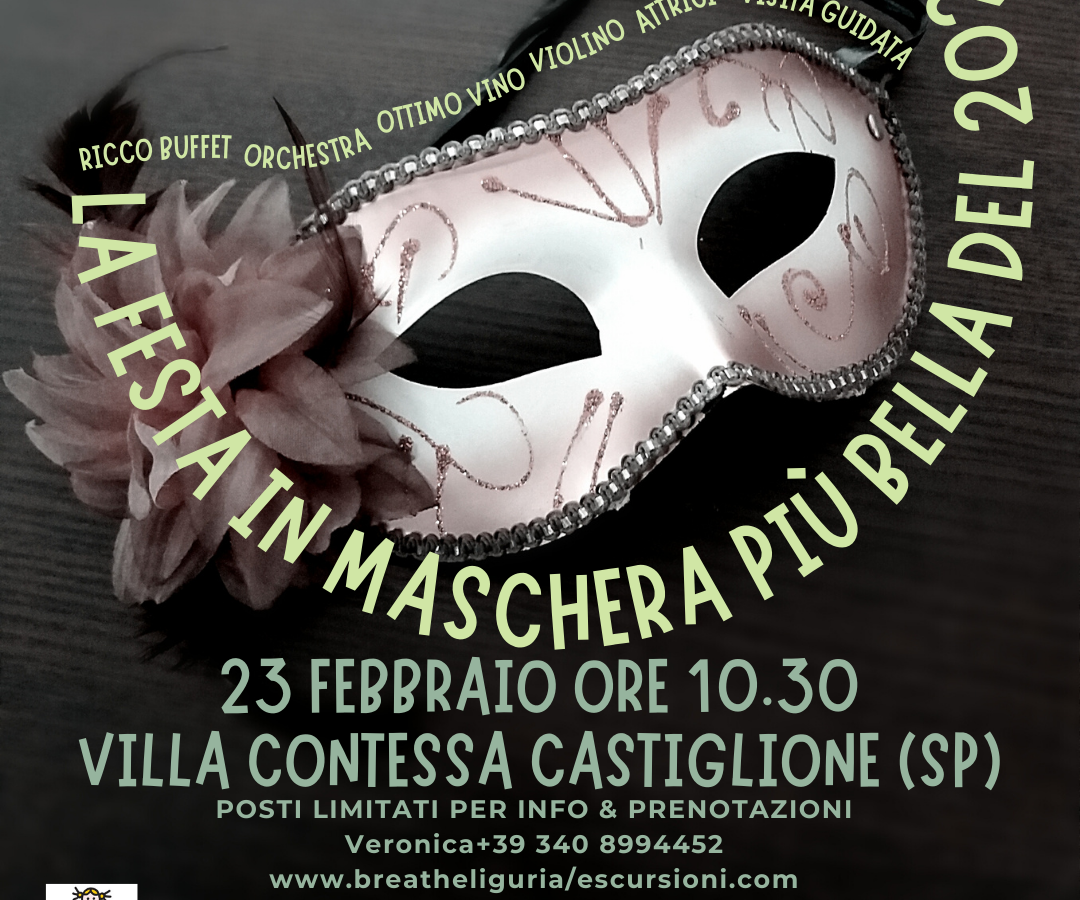 Festa IN MASCHERA di (3)